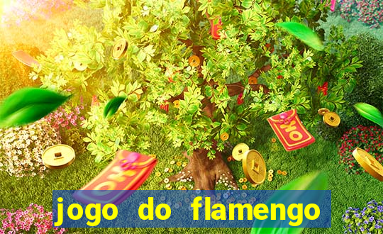 jogo do flamengo multi canais